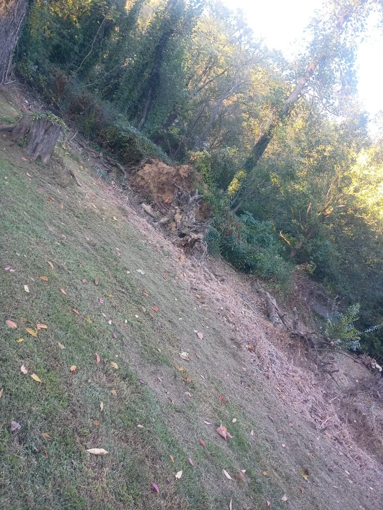 Local landscaping services for residential properties in Asheville, NC by Torres Lawncare & More