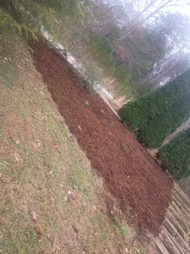 Expert landscape design for outdoor upgrades in Asheville, NC by Torres Lawncare & More