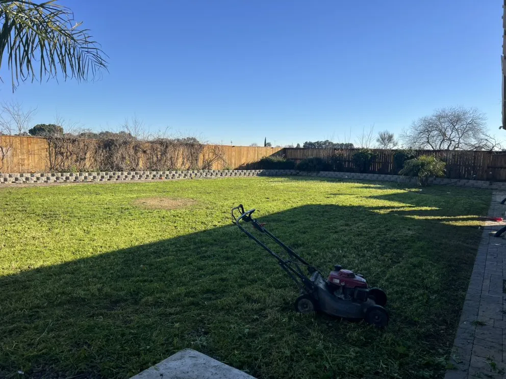 Reliable yard cleanup service in Woodland, CA by Torres Lawncare