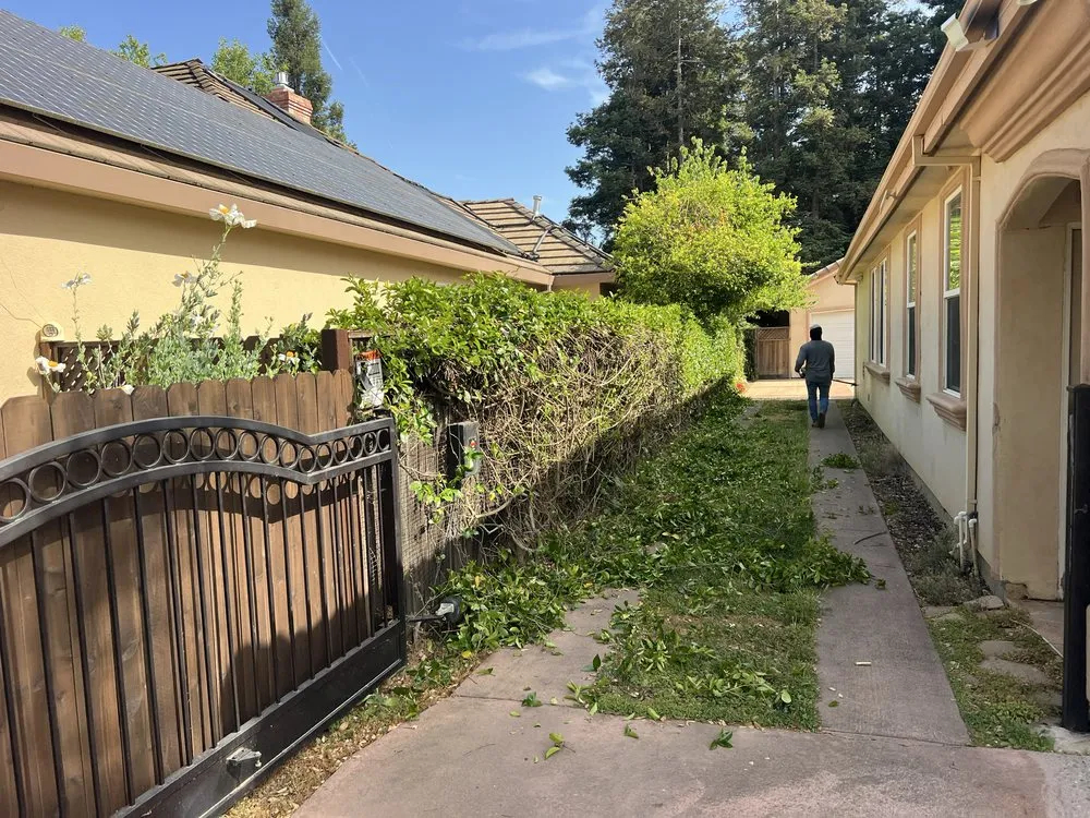 Affordable lawn care service in Woodland, CA by Torres Lawncare