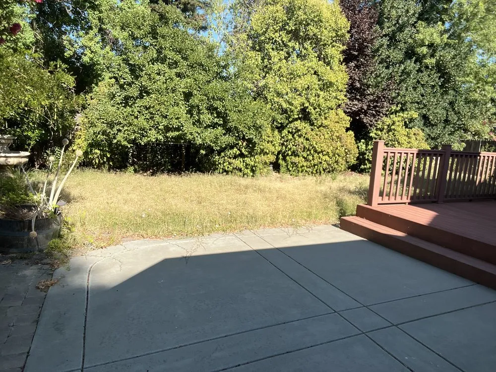 Expert lawn care service near you across Woodland, CA - Torres Lawncare