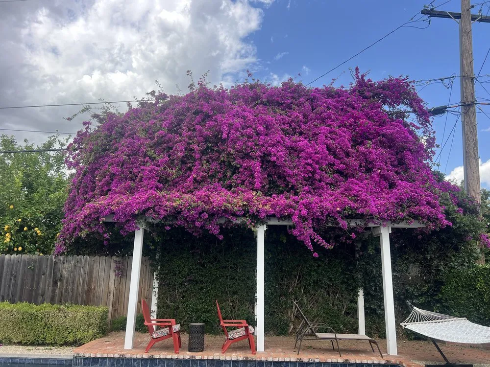 Affordable garden landscaping experts serving Woodland, CA - Torres Lawncare