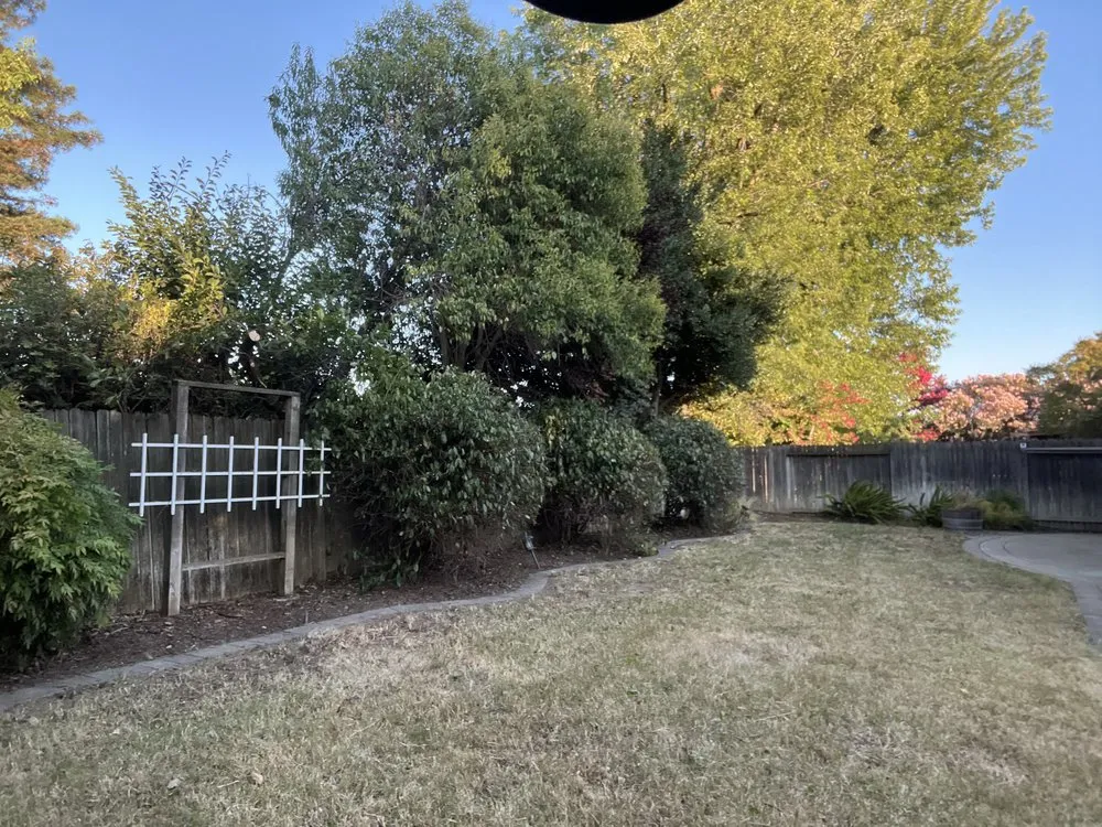 Local yard cleanup service in Woodland, CA by Torres Lawncare