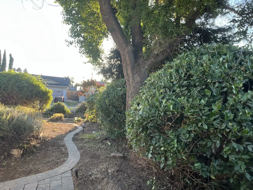 Affordable landscape installation with custom design in Woodland, CA by Torres Lawncare