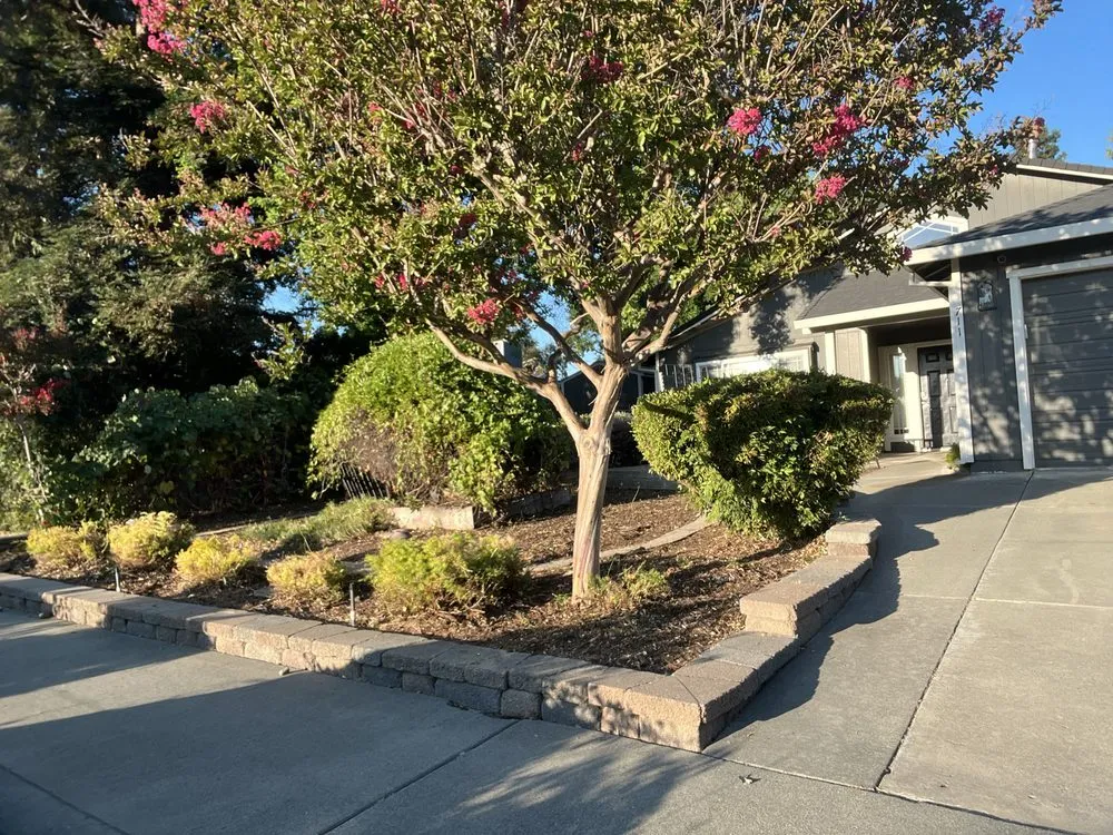 Professional landscape installation in Woodland, CA - Torres Lawncare