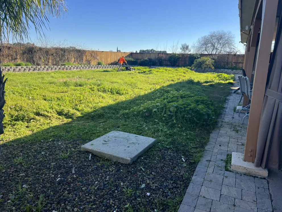 Reliable yard maintenance experts serving Woodland, CA - Torres Lawncare