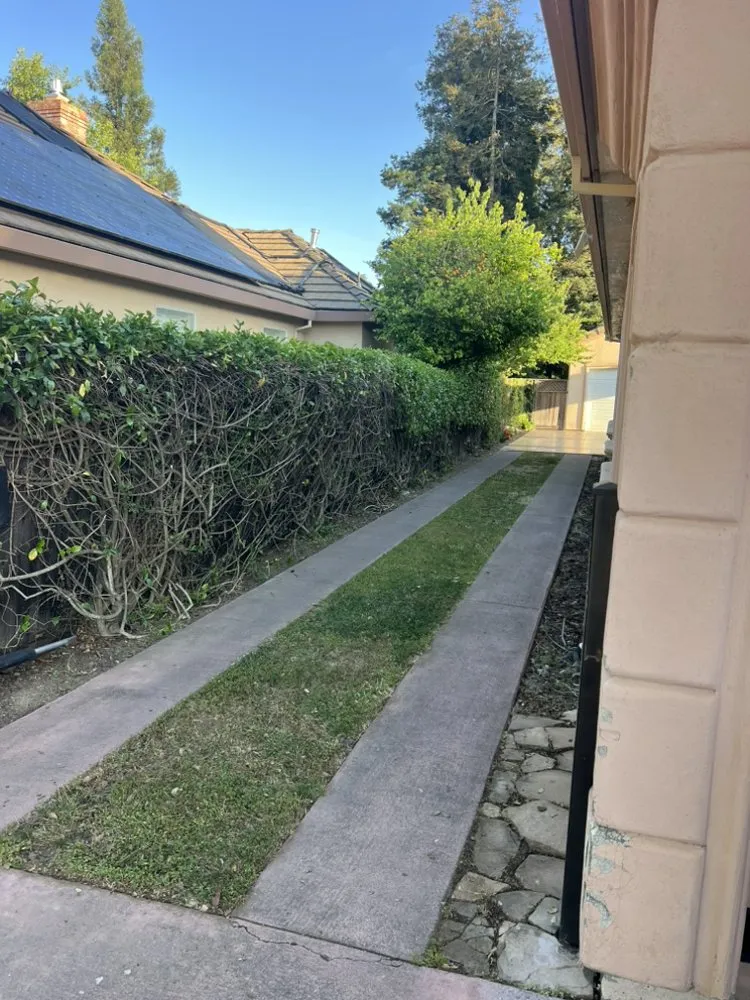 Trusted lawn mowing service with custom design in Woodland, CA by Torres Lawncare