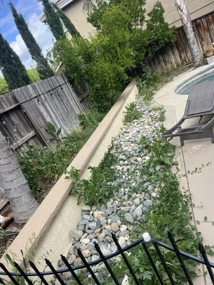 Reliable yard cleanup service experts serving Woodland, CA - Torres Lawncare