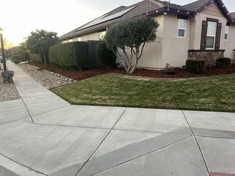 Top-rated residential landscaping in Woodland, CA - Torres Lawncare