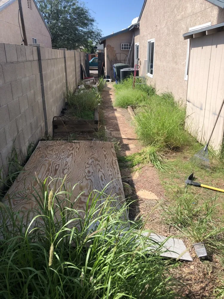 Professional garden landscaping for year-round maintenance in Tucson, AZ by Torres Maintenance and Landscape