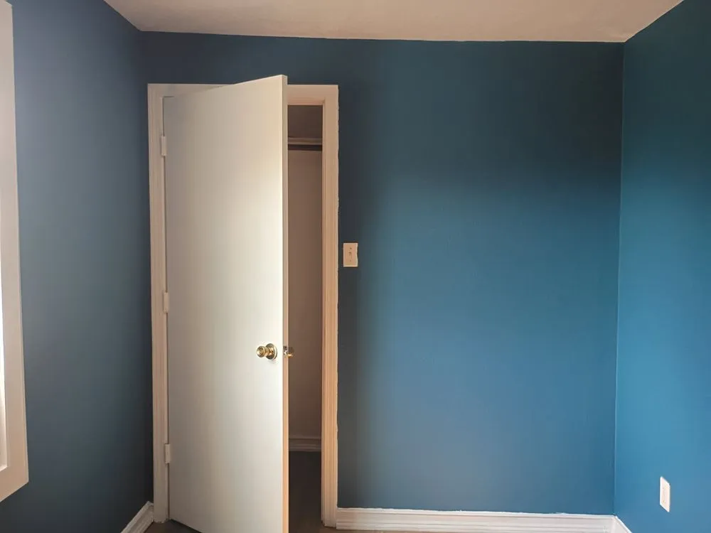 Top-rated yard maintenance for year-round maintenance in Beaumont, TX by Torres Services