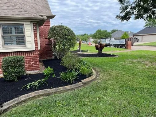 Expert yard cleanup service for homes in Beaumont, TX by Torres Services