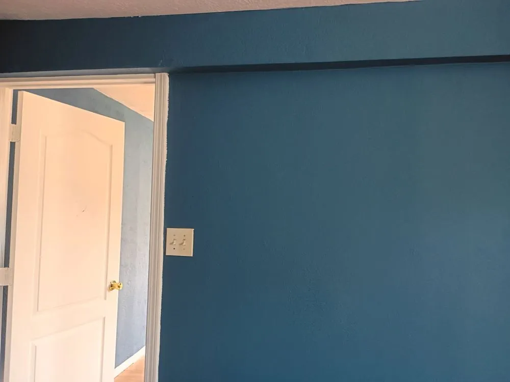 Expert yard cleanup service near you in Beaumont, TX by Torres Services