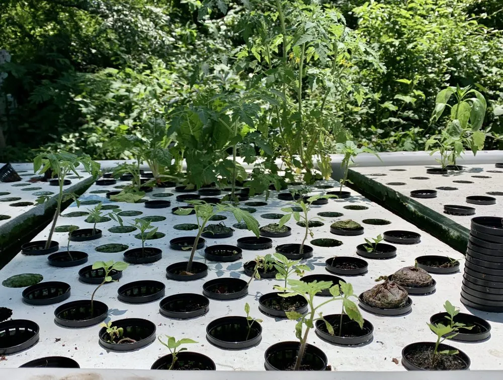 Affordable lawn care service in High Point, NC - Torres Transformations