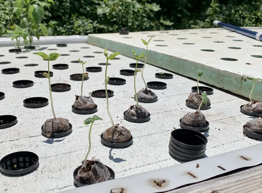 Local outdoor landscaping in High Point, NC - Torres Transformations