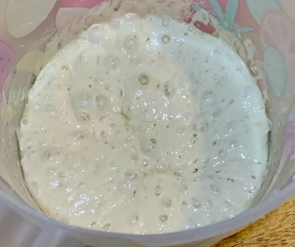 Reliable garden landscaping for beautiful yards in High Point, NC by Torres Transformations