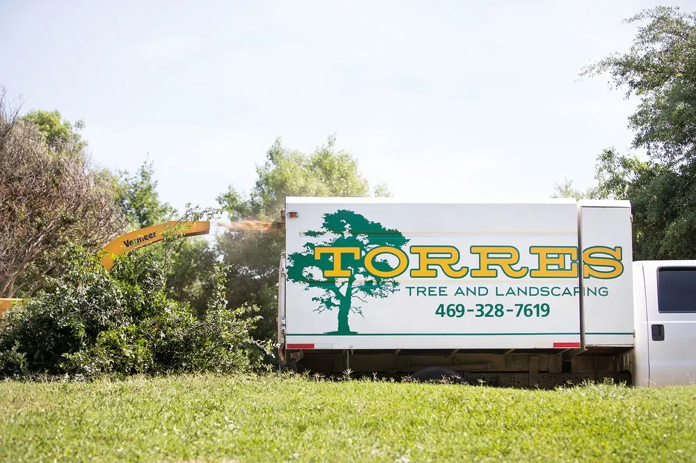 Expert lawn mowing service for residential properties across Grand Prairie, TX - Torres Tree Service