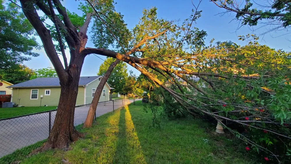 Expert residential landscaping for beautiful yards across Grand Prairie, TX - Torres Tree Service