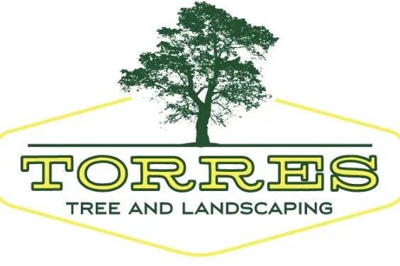 Expert lawn mowing service for residential properties across Grand Prairie, TX - Torres Tree Service