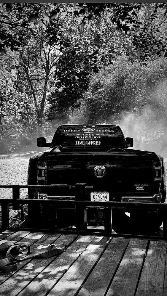 Expert residential landscaping in La Vergne, TN - Torres Tree Service