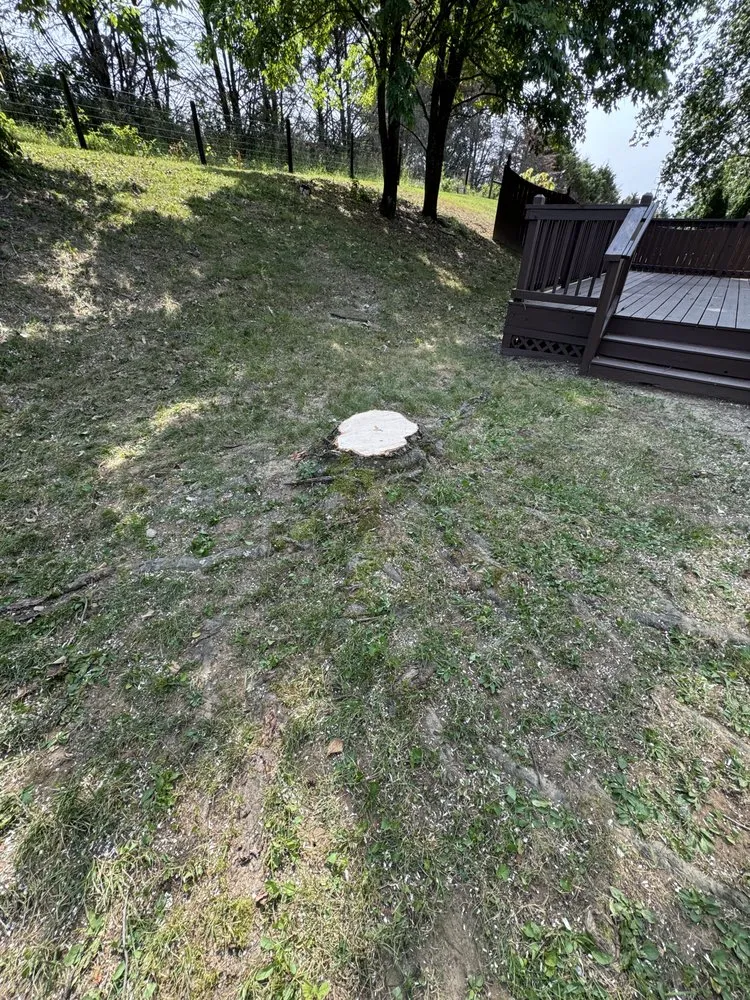 Affordable outdoor landscaping in La Vergne, TN by Torres Tree Service