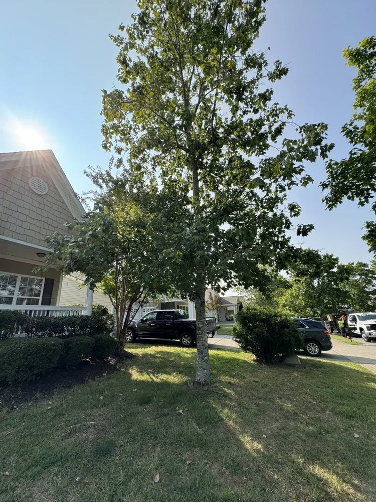 Top-rated lawn mowing service in La Vergne, TN by Torres Tree Service