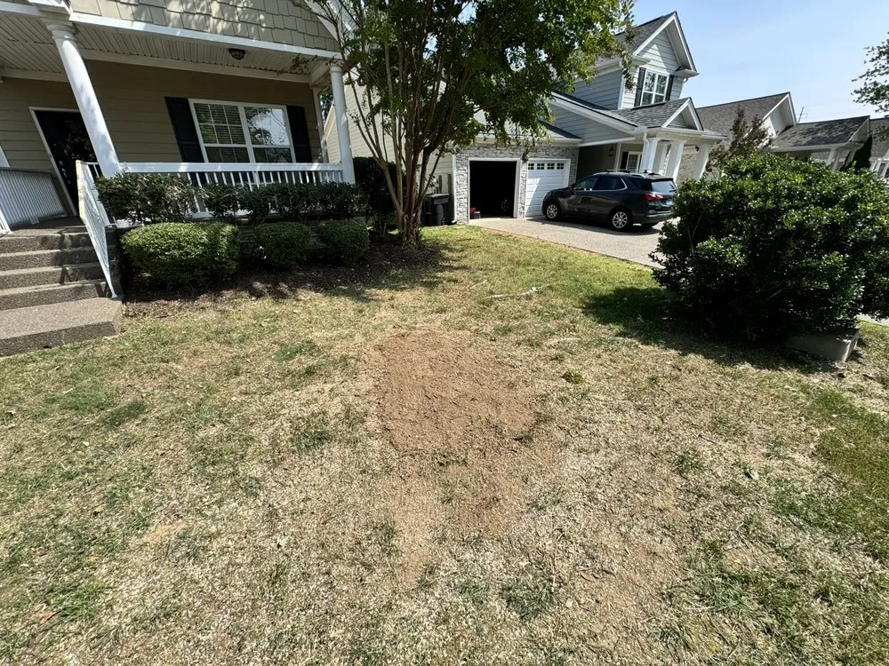 Reliable yard cleanup service for year-round maintenance in La Vergne, TN by Torres Tree Service