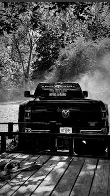 Torres Tree Service Logo