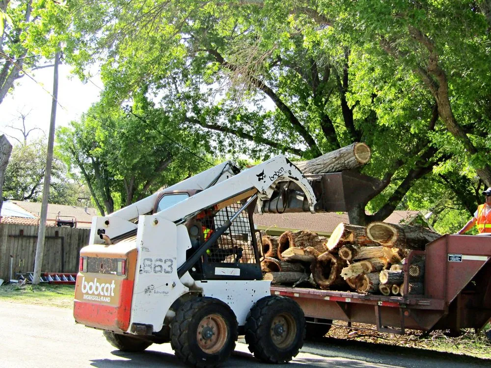 Professional lawn care service experts serving Sonora, TX - Torres Tree Services