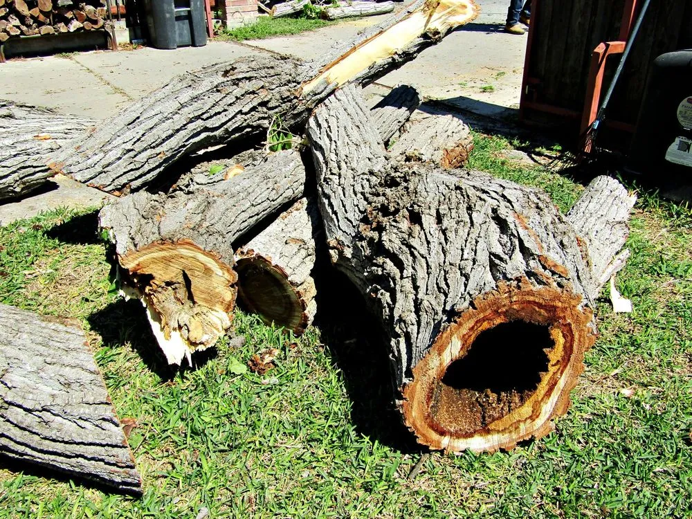 Affordable lawn mowing service near you across Sonora, TX - Torres Tree Services