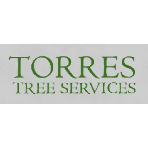 Trusted yard maintenance in Sonora, TX - Torres Tree Services