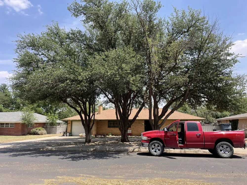 Top-rated residential landscaping in Midland, TX by Torres Tree Trimming & Landscaping