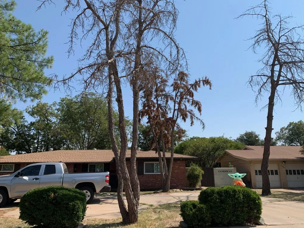 Custom landscape design for outdoor upgrades across Midland, TX - Torres Tree Trimming & Landscaping