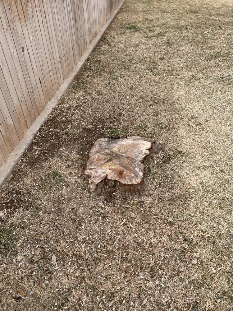 Top-rated lawn mowing service in Midland, TX by Torres Tree Trimming & Landscaping