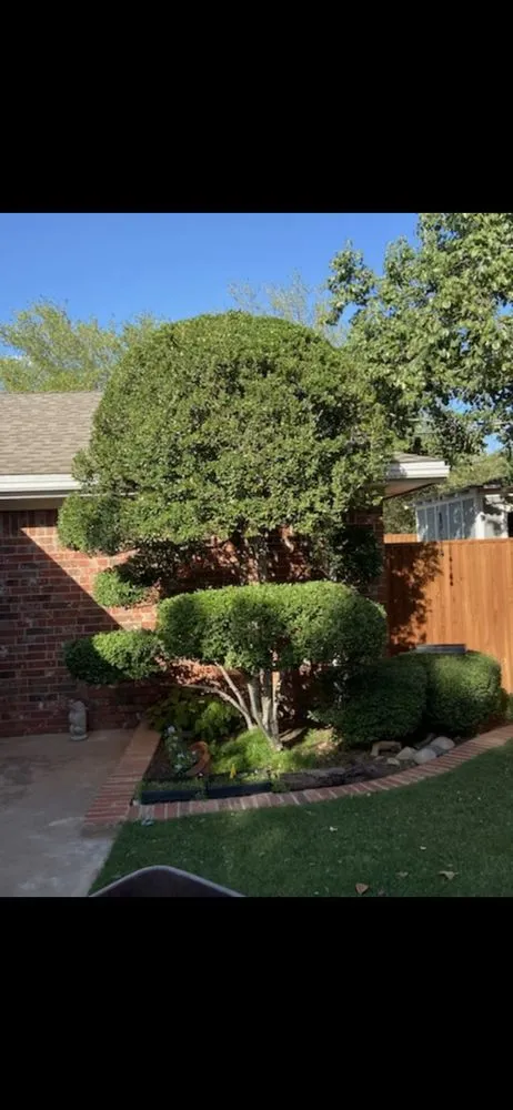 Professional lawn care service in Midland, TX by Torres Tree Trimming & Landscaping