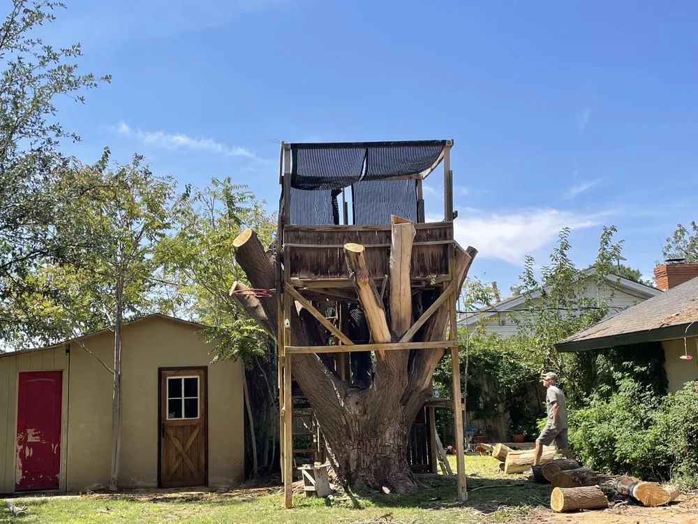 Local landscaping services experts serving Midland, TX - Torres Tree Trimming & Landscaping