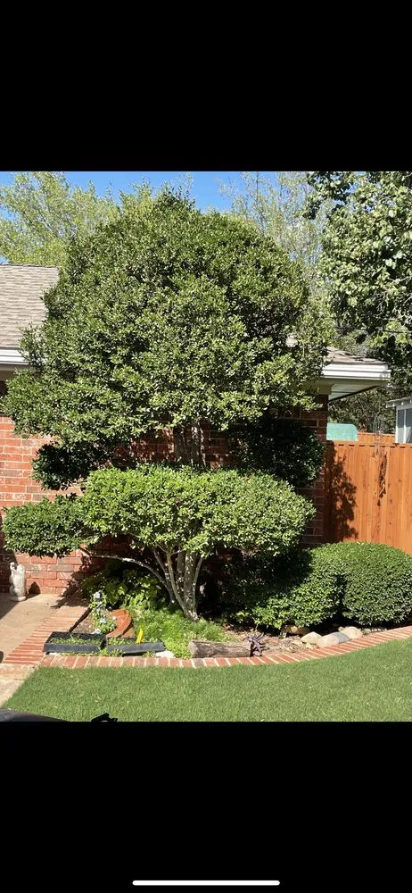 Top-rated yard maintenance with custom design in Midland, TX by Torres Tree Trimming & Landscaping