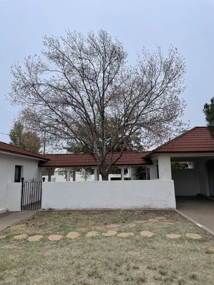 Expert yard maintenance in Midland, TX by Torres Tree Trimming & Landscaping