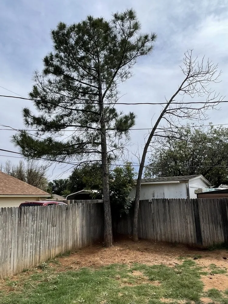 Top-rated yard maintenance for residential properties in Midland, TX by Torres Tree Trimming & Landscaping