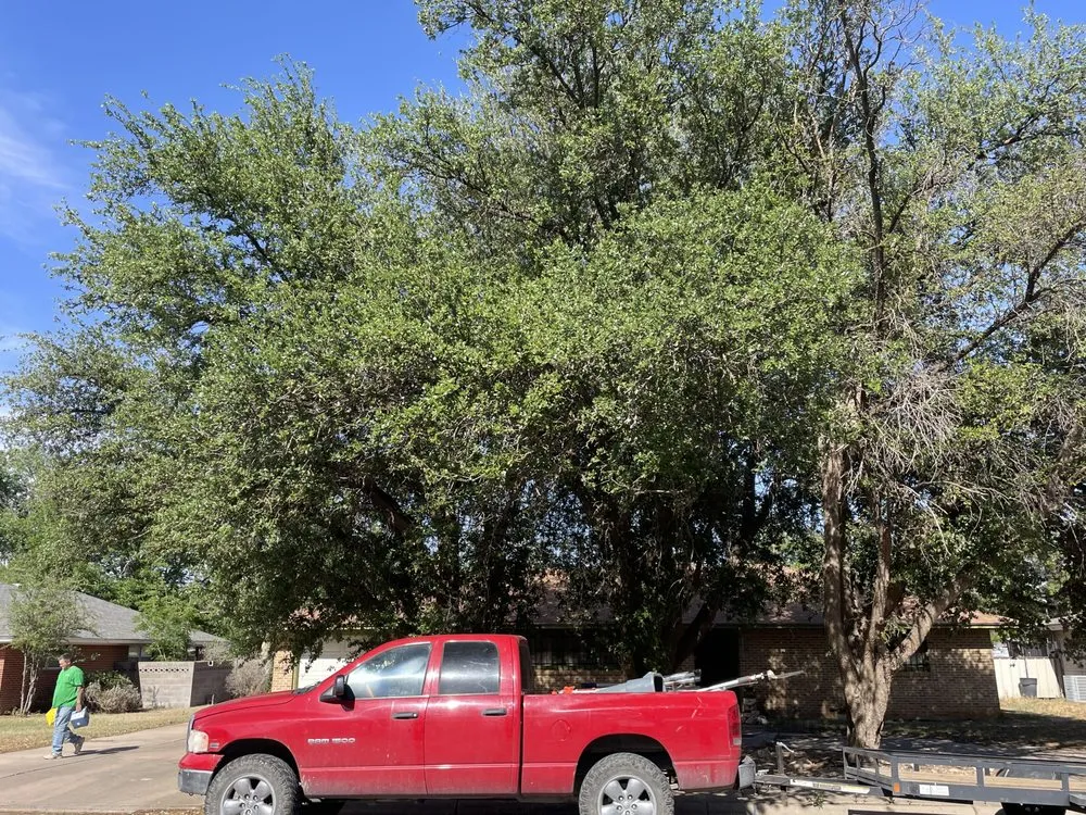 Local lawn mowing service in Midland, TX by Torres Tree Trimming & Landscaping