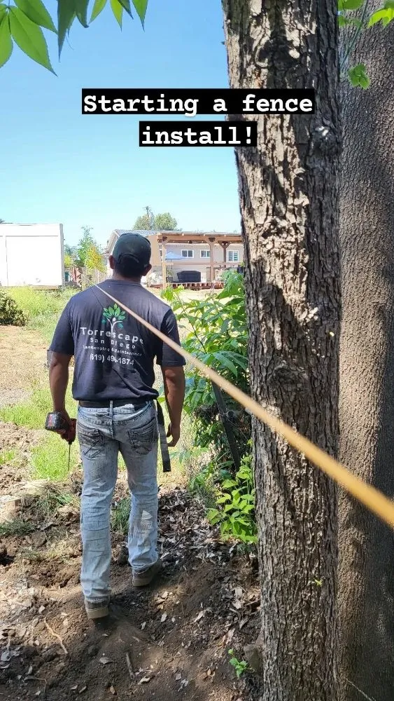 Professional lawn mowing service near you in El Cajon, CA by Torrescape San Diego