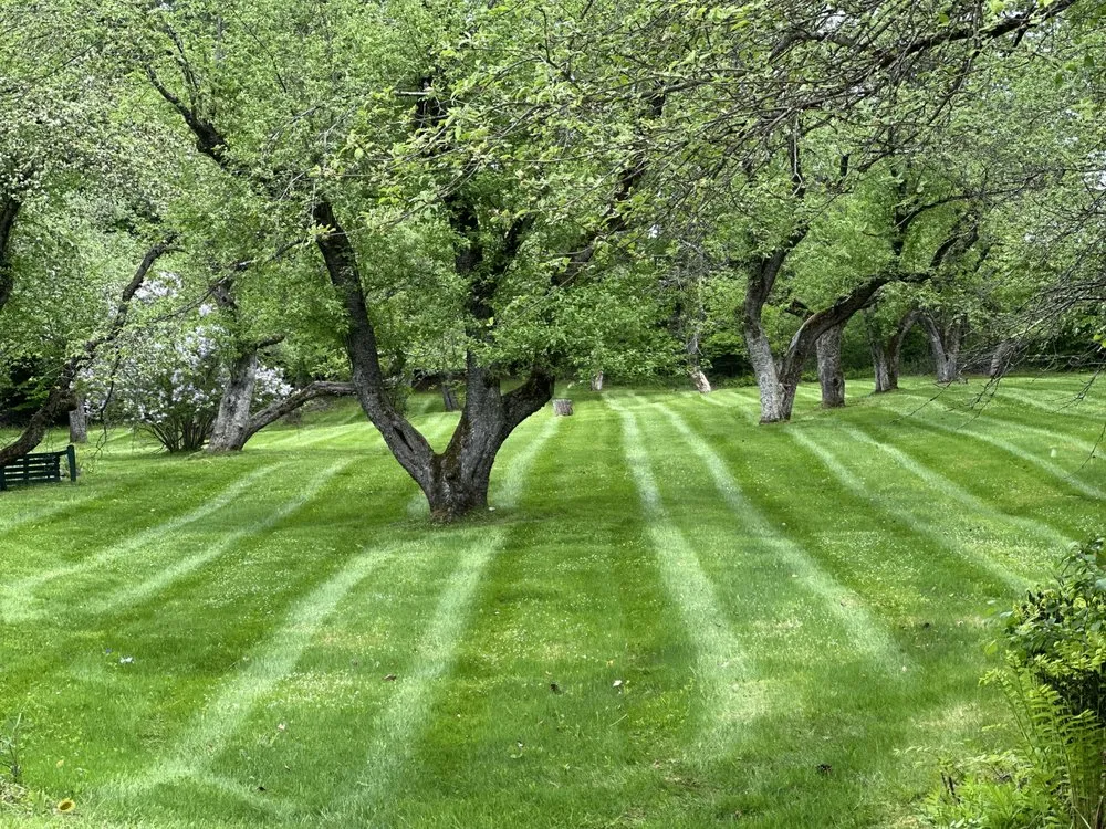 Top-rated lawn care service in Londonderry, VT - Torrey Lawn & Land Services