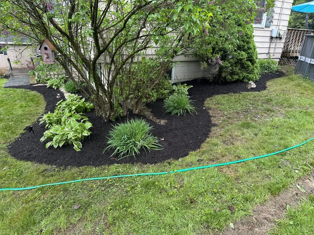 Top-rated outdoor landscaping experts serving Londonderry, VT - Torrey Lawn & Land Services