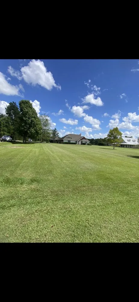 Expert residential landscaping for residential properties in Hammond, LA by Torrez Lawn Care Services