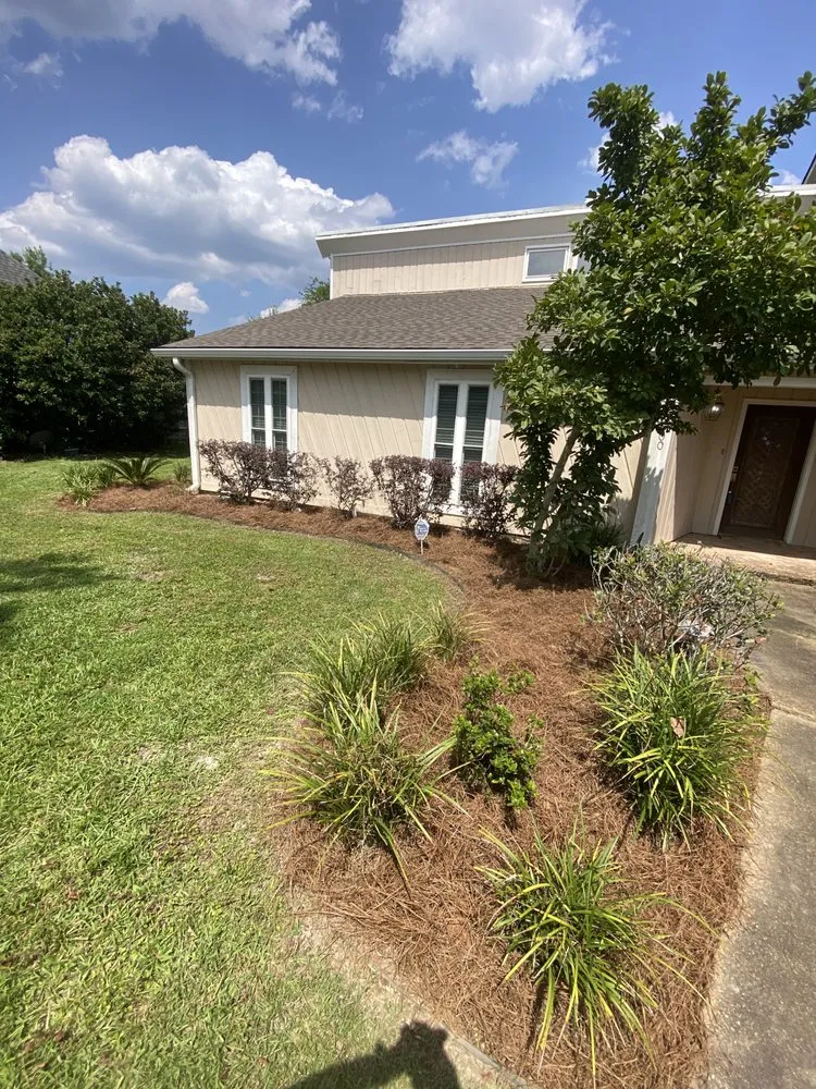 Top-rated yard maintenance in Hammond, LA by Torrez Lawn Care Services