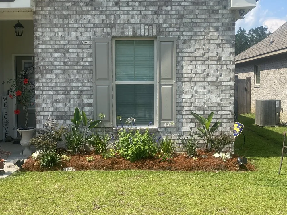 Local yard maintenance for year-round maintenance across Hammond, LA - Torrez Lawn Care Services