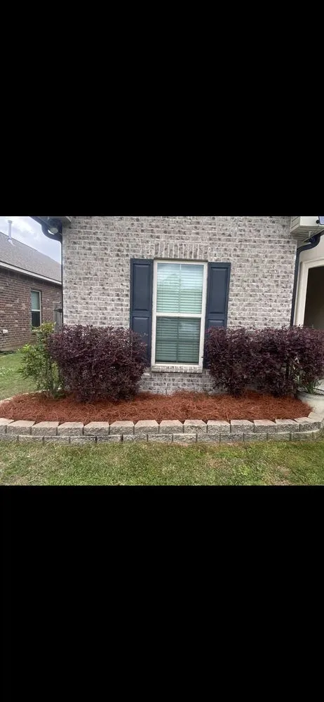 Reliable landscape installation for year-round maintenance in Hammond, LA by Torrez Lawn Care Services