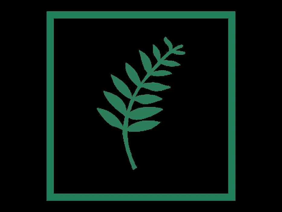 Trusted yard maintenance experts serving Durham, CT - Torrison Stone & Garden