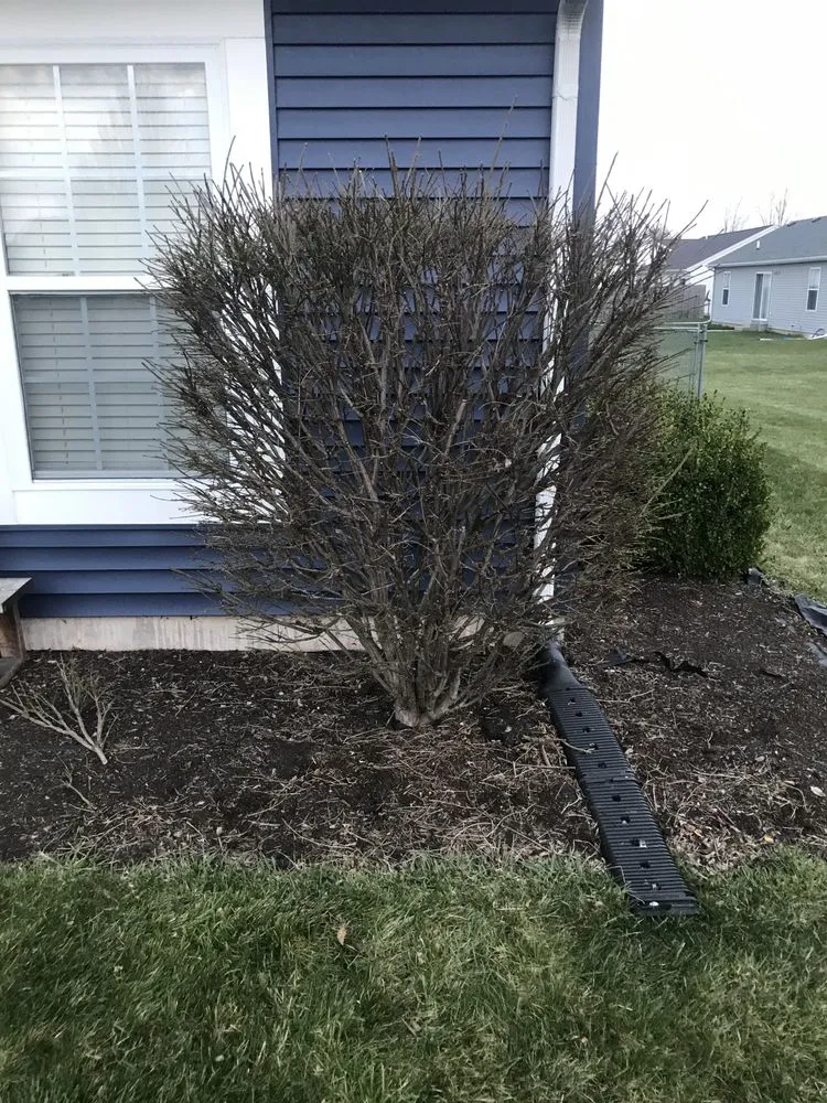 Local yard maintenance experts serving Wabash, IN - TOS Lawn & Landscape