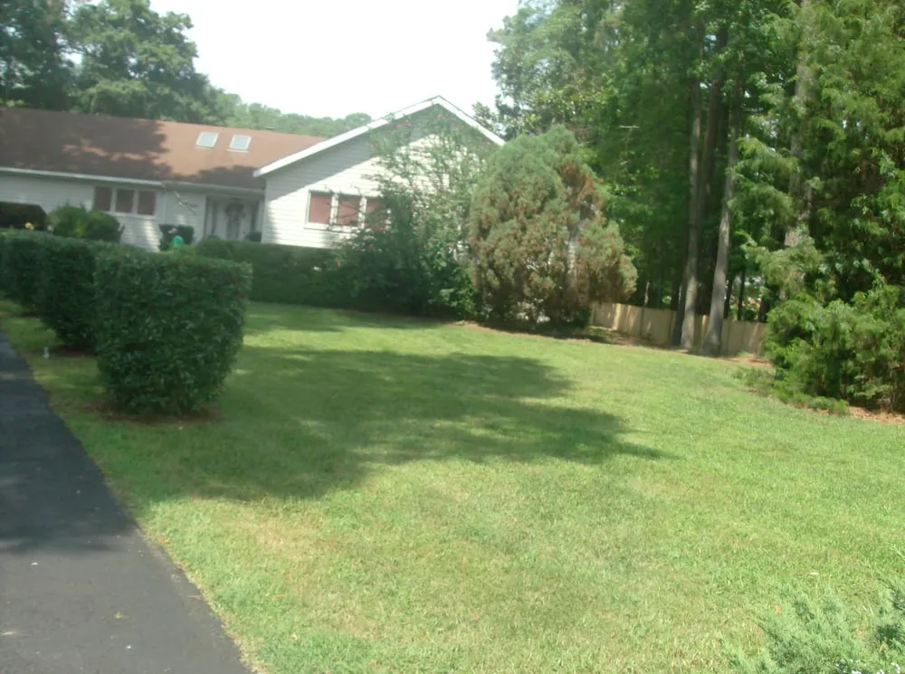 Custom landscape installation experts serving Hampton, VA - Tosdad3 Landscaping